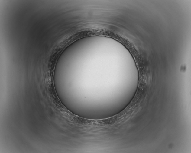 X0000097900869200803211439