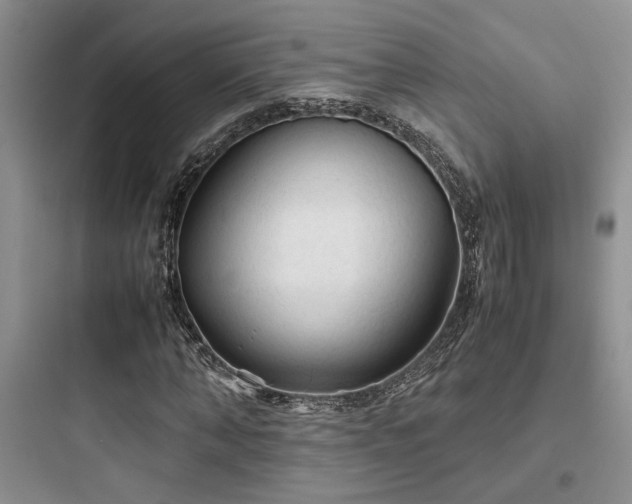 X0000097900870200803211439
