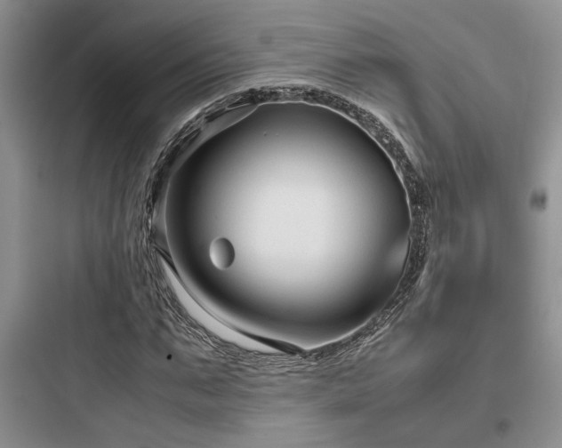 X0000097900871200803211439