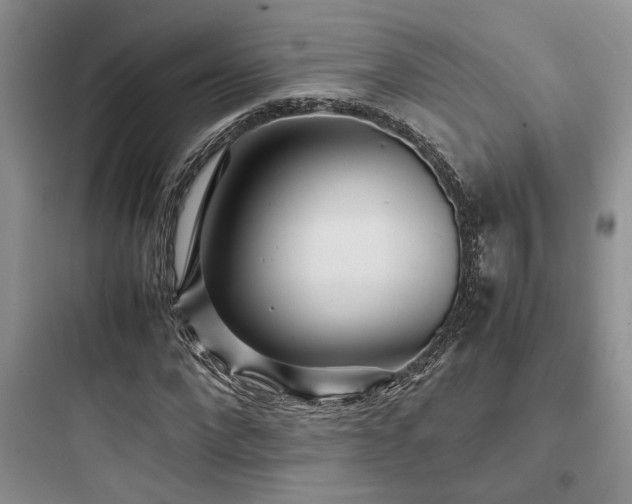 X0000097900872200803211439