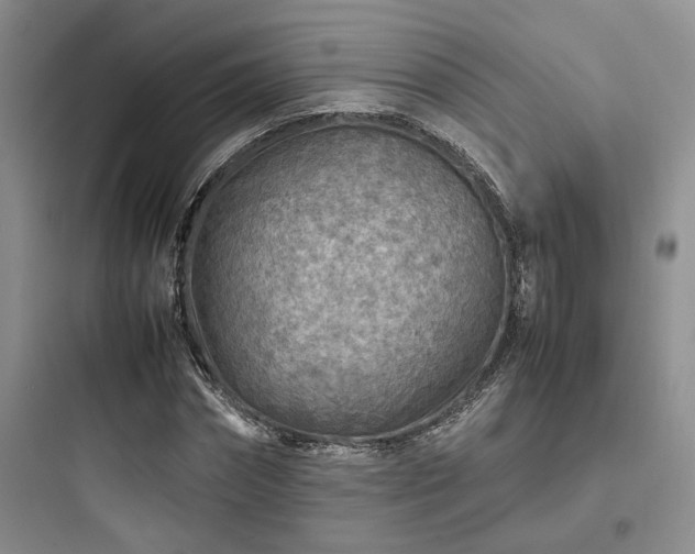 X0000097900874200803211439