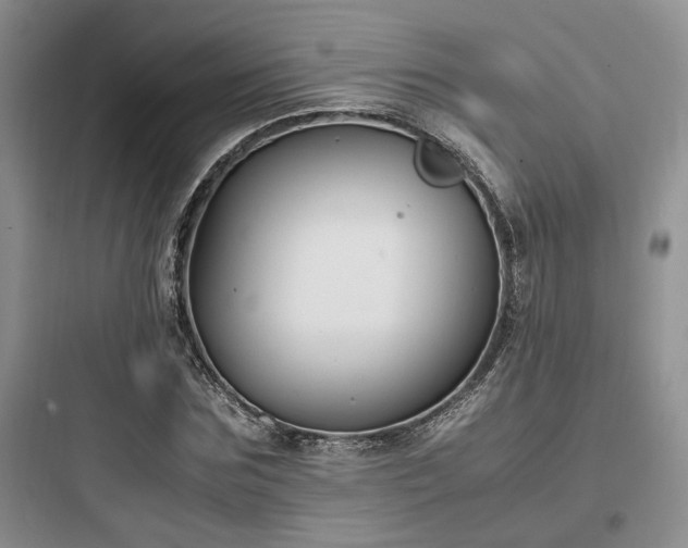 X0000097900875200803211439