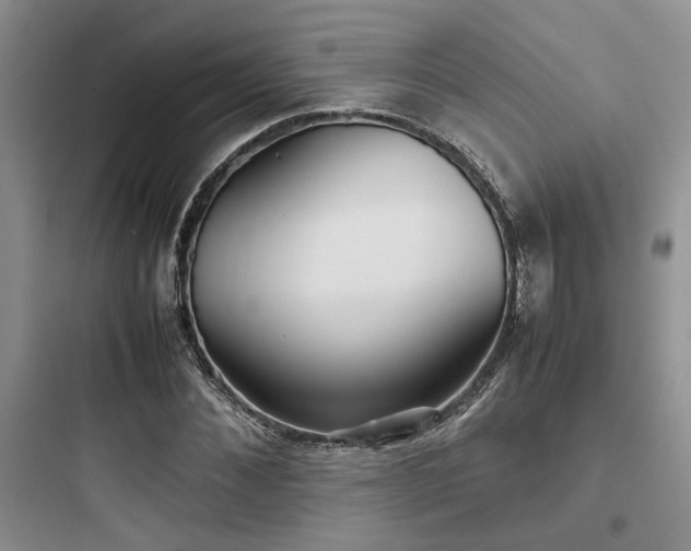 X0000097900876200803211439