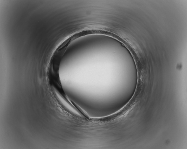 X0000097900877200803211439