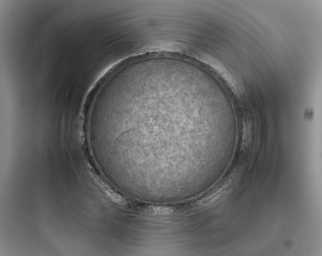 X0000097900878200803211439