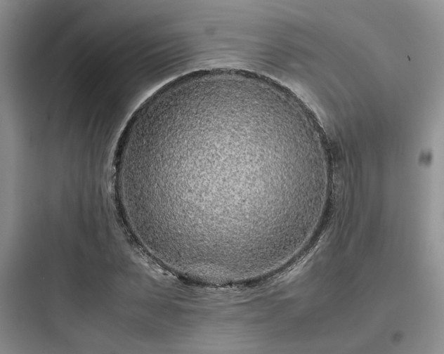 X0000097900879200803211439
