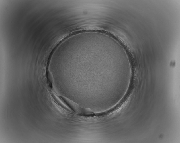 X0000097900881200803211439