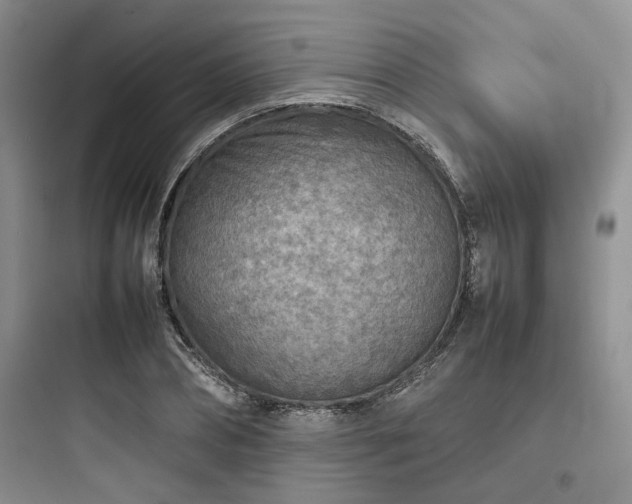 X0000097900882200803211439
