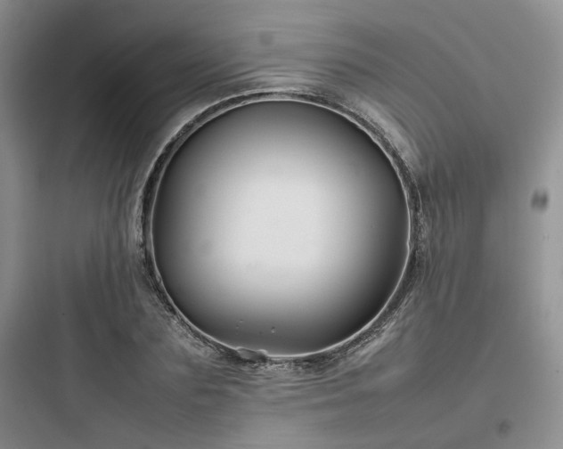 X0000097900883200803211439