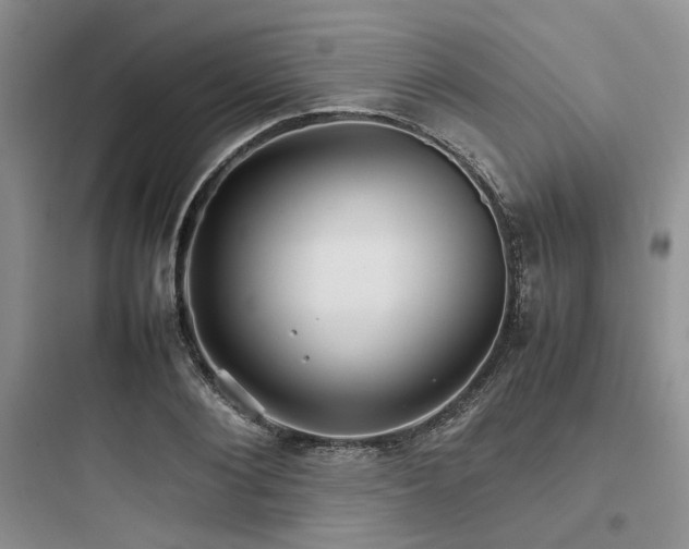 X0000097900884200803211439