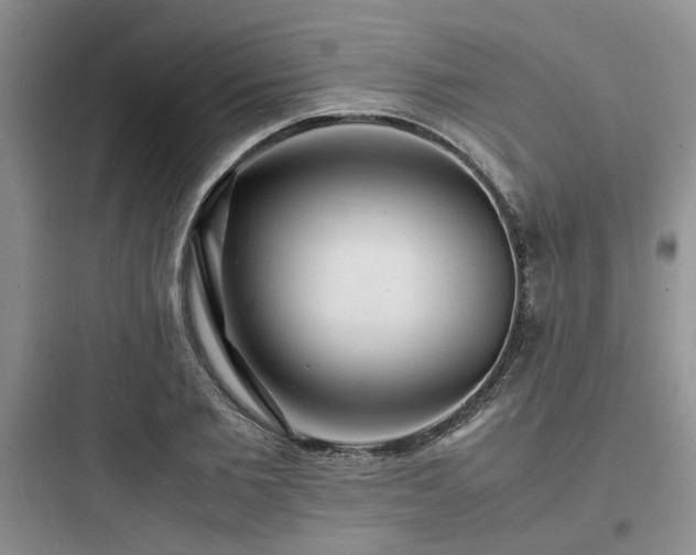X0000097900885200803211439