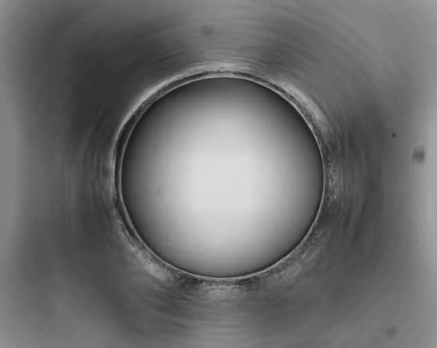X0000097900886200803211439