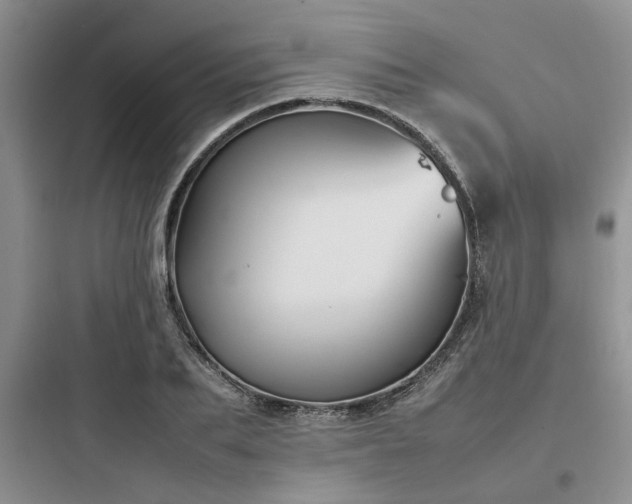 X0000097900887200803211439
