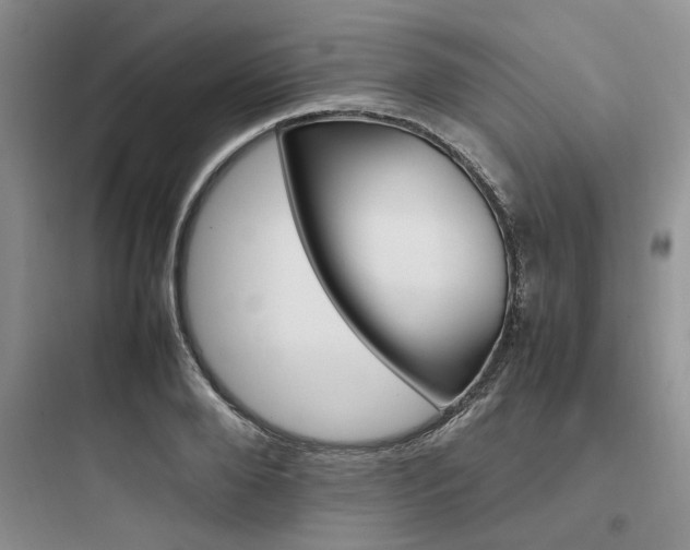 X0000097900888200803211439