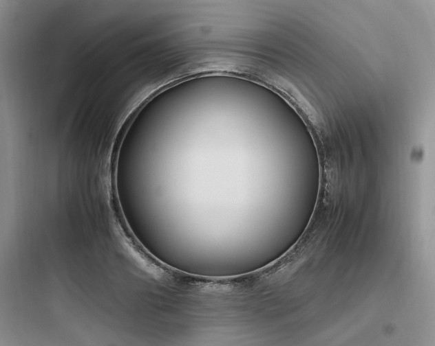 X0000097900890200803211439