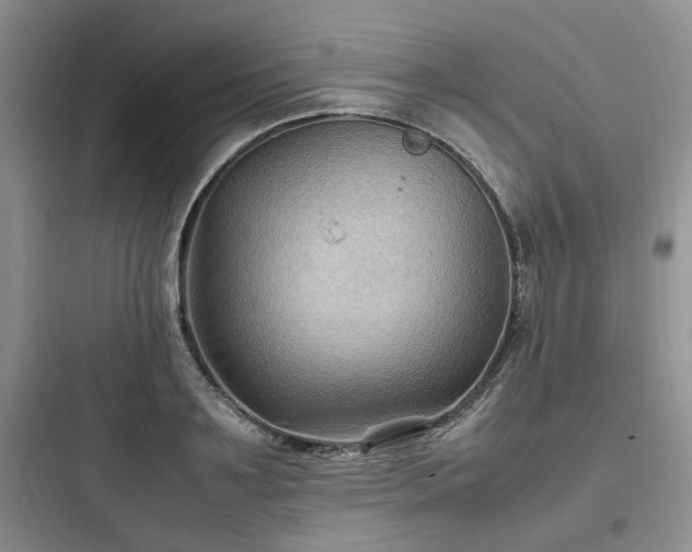 X0000097900891200803211439