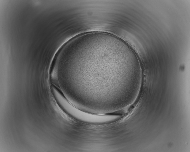 X0000097900892200803211439