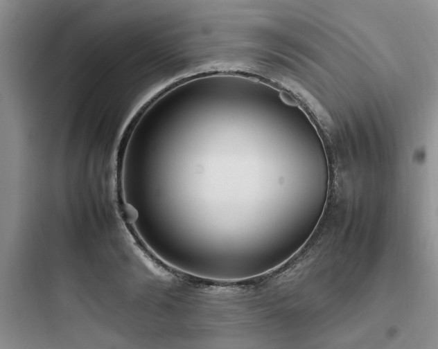 X0000097900894200803211439