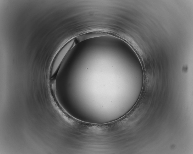 X0000097900898200803211438