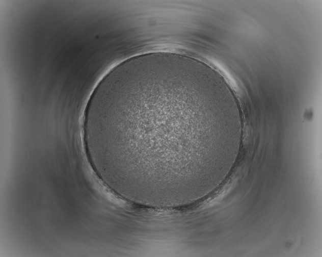 X0000097900899200803211438