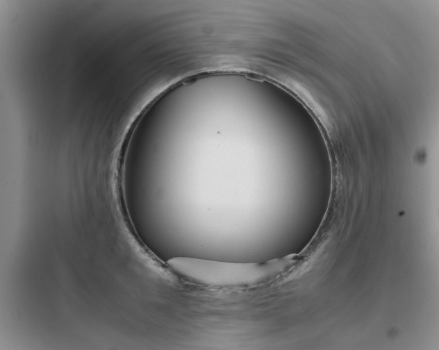 X0000097900901200803211438
