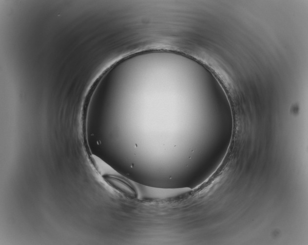 X0000097900902200803211438