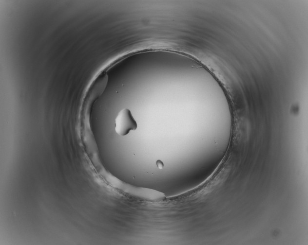 X0000097900904200803211438