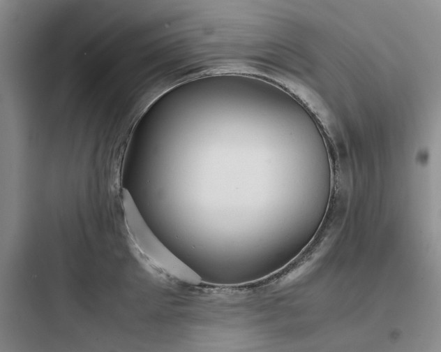 X0000097900905200803211438