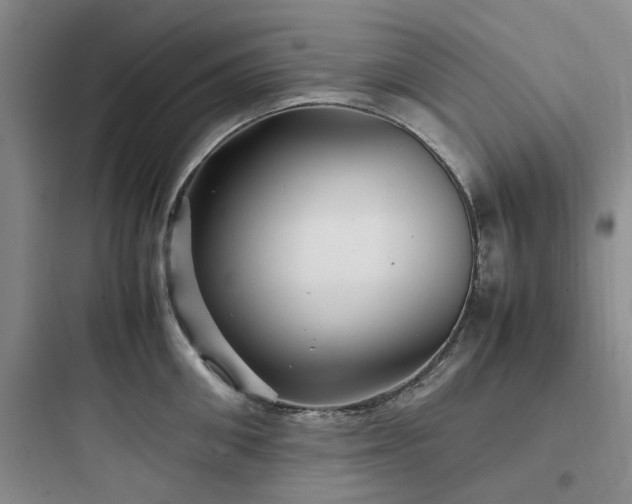 X0000097900906200803211438