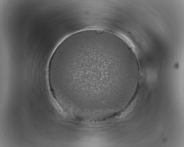 X0000097900907200803211438