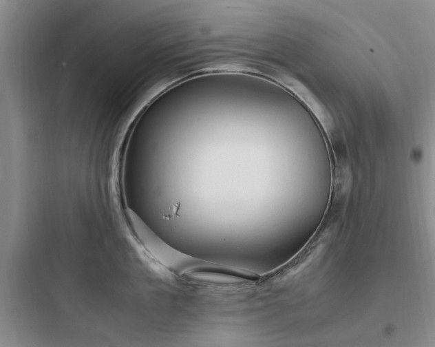X0000097900909200803211438