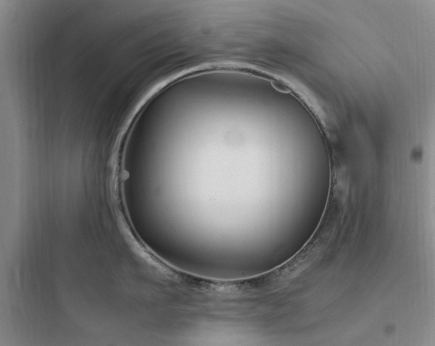 X0000097900911200803211438