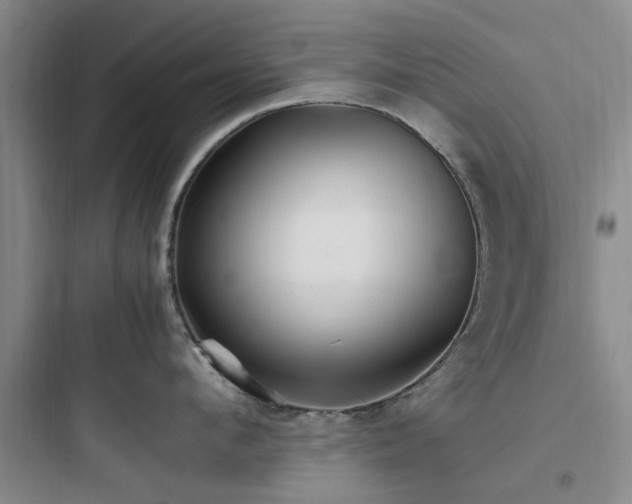 X0000097900912200803211438