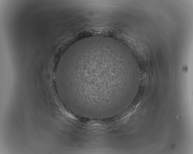 X0000097900913200803211438