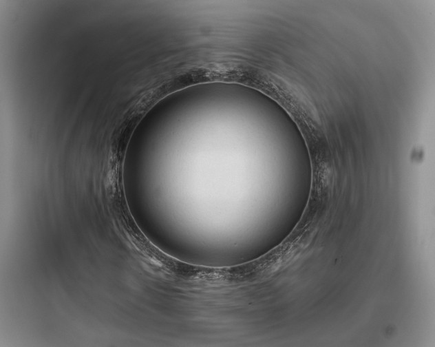 X0000097900914200803211438