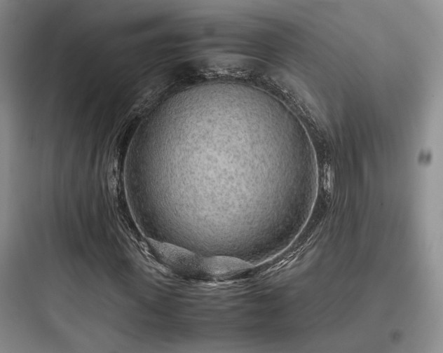X0000097900915200803211438