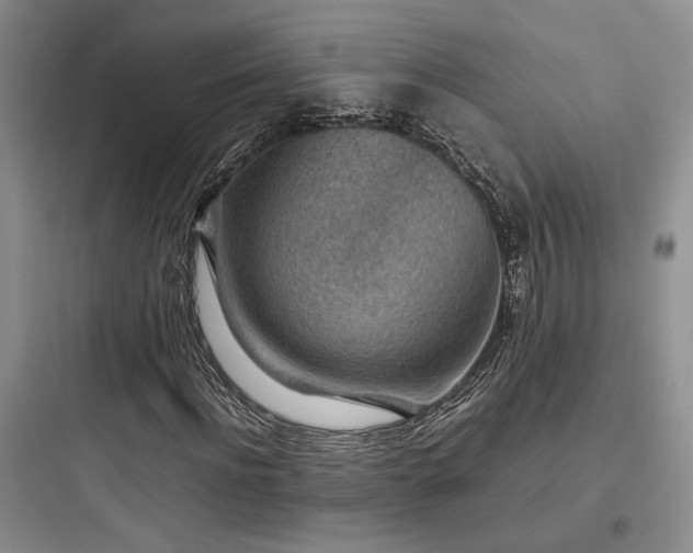 X0000097900916200803211438