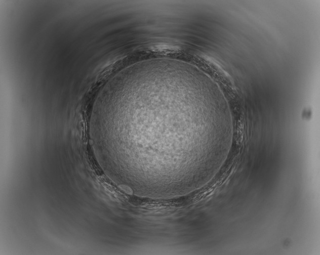 X0000097900917200803211438