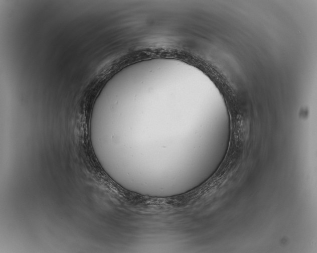 X0000097900918200803211438