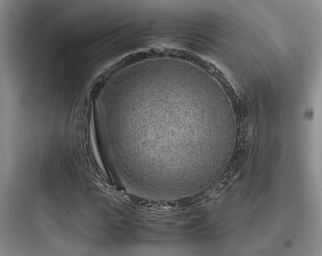 X0000097900919200803211438