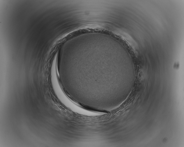 X0000097900920200803211438