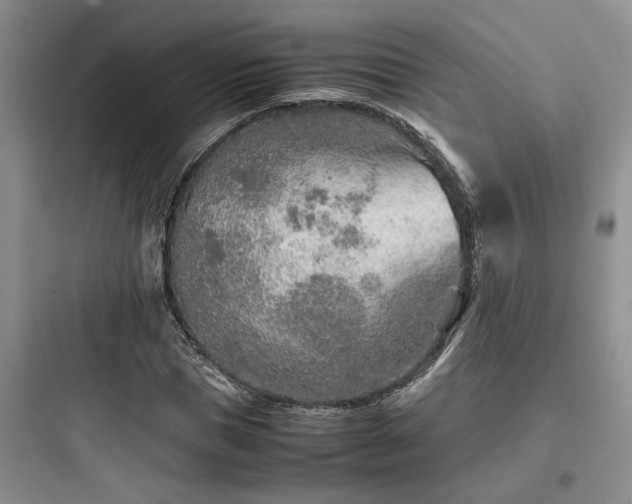 X0000097900921200803211438