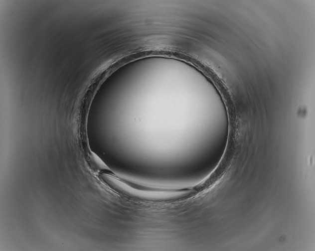 X0000097900922200803211438