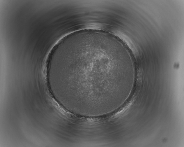 X0000097900923200803211438