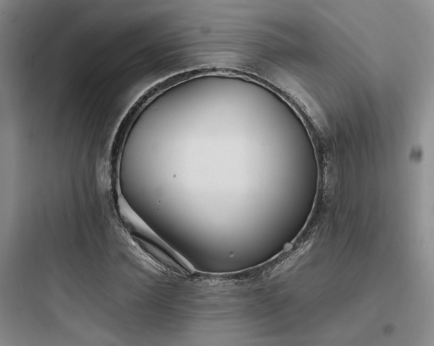 X0000097900924200803211438