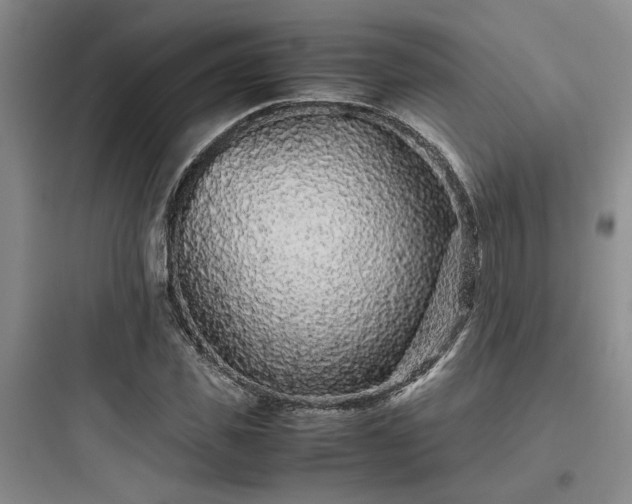 X0000097900925200803211438