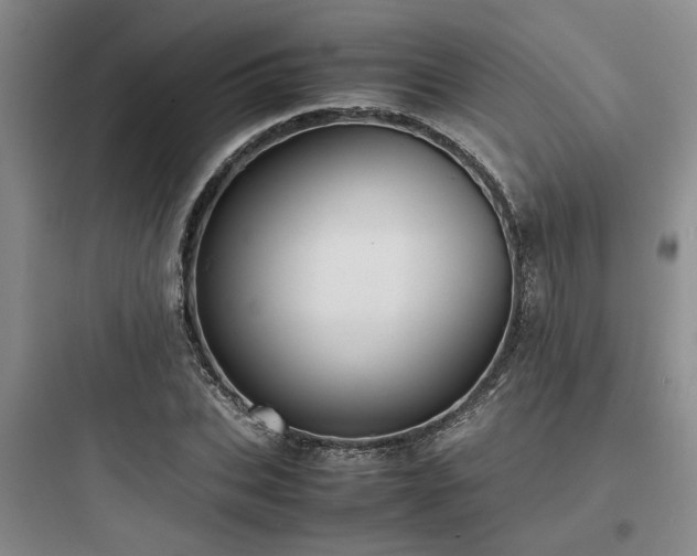 X0000097900927200803211438