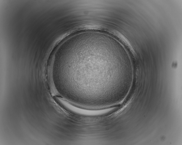 X0000097900930200803211438