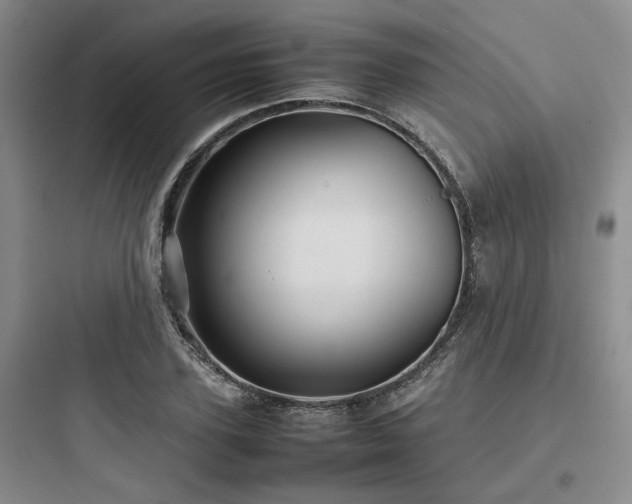 X0000097900931200803211438