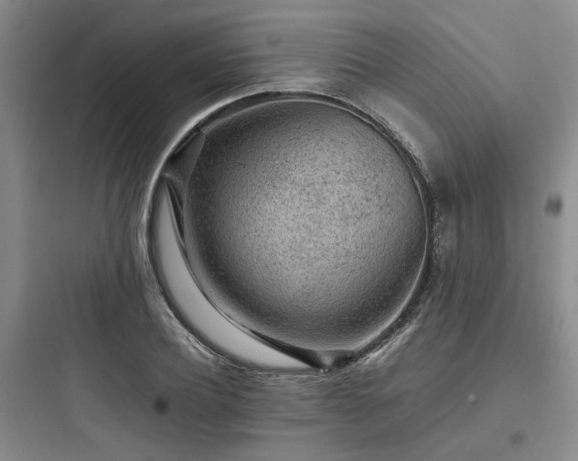 X0000097900932200803211438